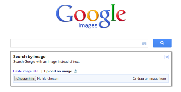 Top 5 Reverse Image Search engine